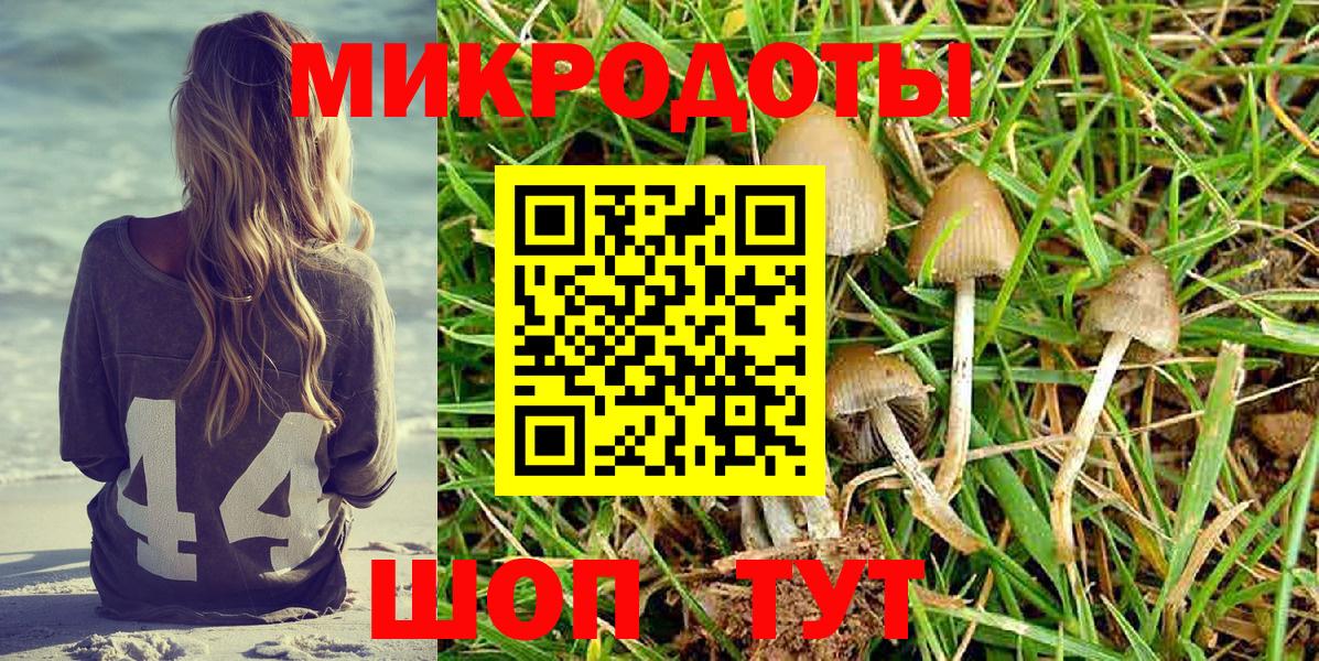 Псилоцибиновые грибы мухоморы  Псилоцибиновые грибы мухоморы  Вход с VPN  Луга 