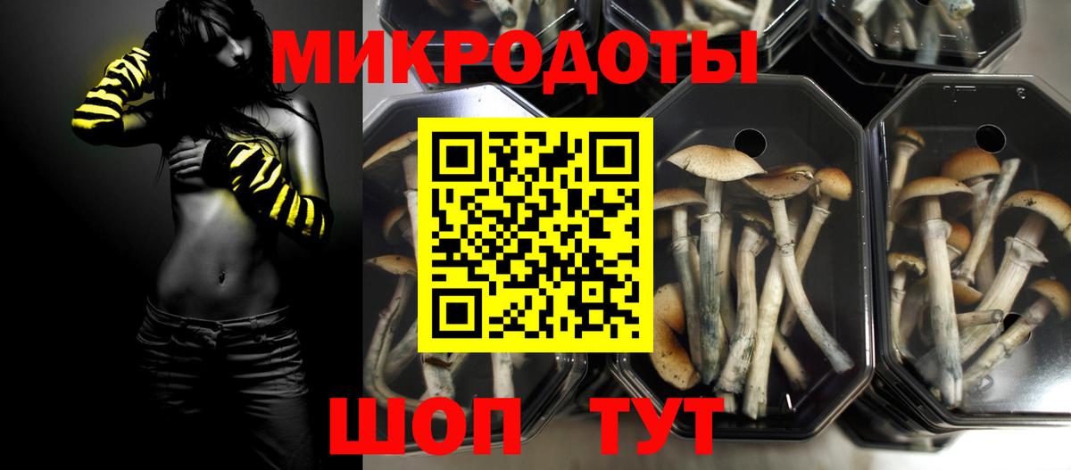 Псилоцибиновые грибы Psilocybine cubensis Луга